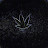 BurningShoreProphet . OG