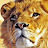 Leo's page